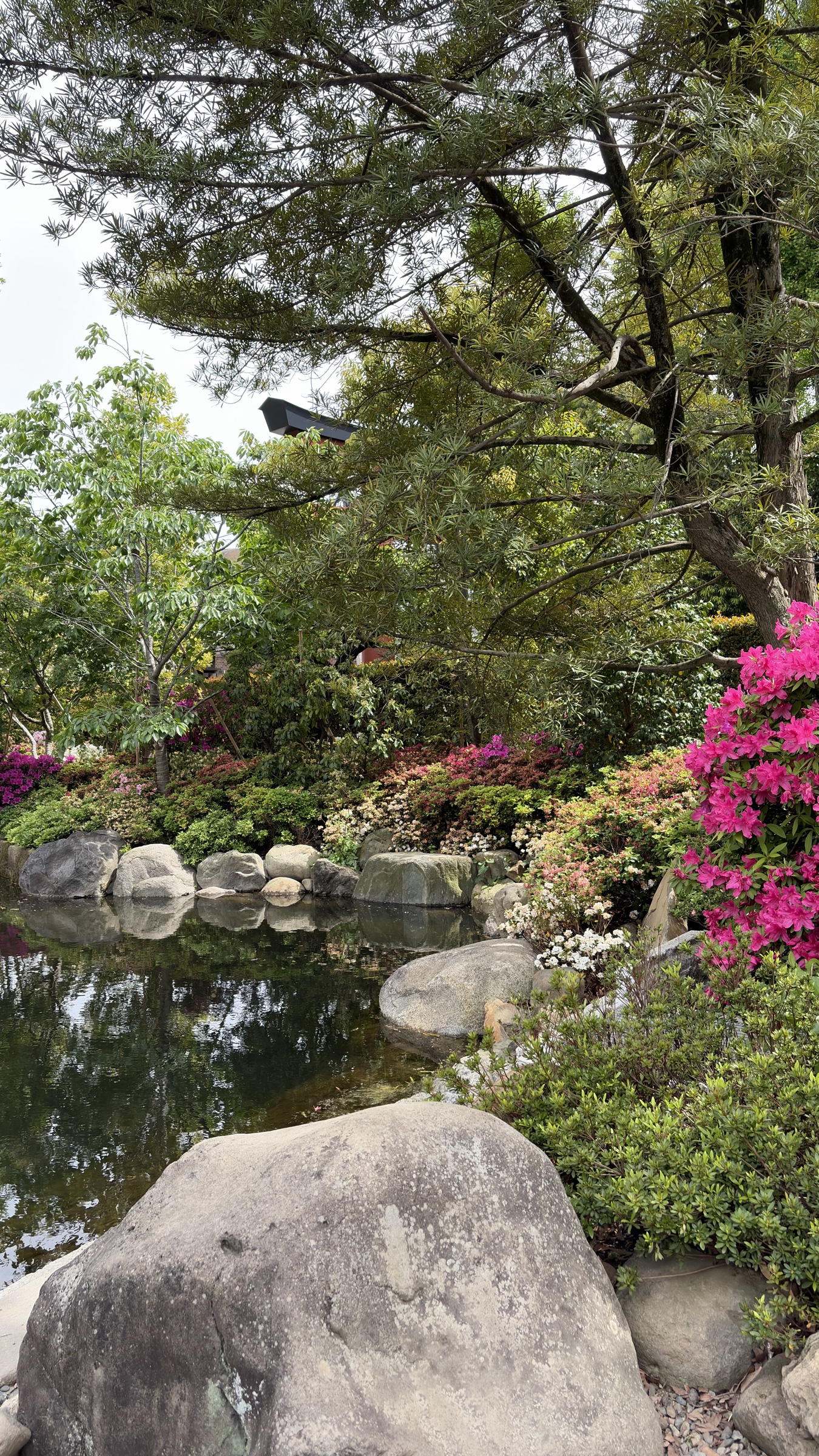 A peaceful garden filled with trees, flowers and a reflective pond